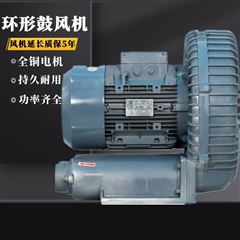 RB-1010高溫廢氣抽排風機