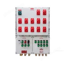 二工雙電源防爆應(yīng)急照明配電箱