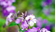 ӡȾ��ҵ2024��ṹ����Ŀ¼��ȫ��ָ����ҵ��չ�·���