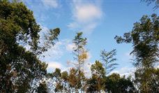�й���ҵ��ҵ����Э����ڷ��������ϻ���˿���������������׼�Ĺ���