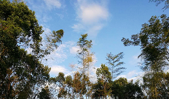 能源高质量发展专家谈丨以高质效投融资赋能能源行业高质量发展