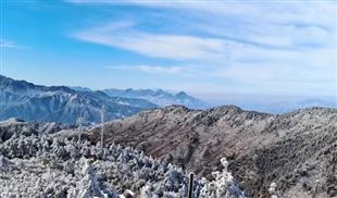 又一传感材料“小巨人”，冲刺A股IPO