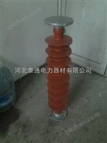 復(fù)合絕緣子FZSW-35/6
