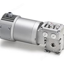 意大利Mini Motor MC 244PT電機(jī)