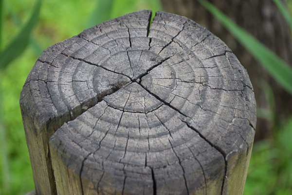 中亞光伏進入高效時代！ 晶澳DeepBlue 5.0批量落地烏茲別克斯坦