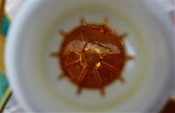 《粉体食品包装用注塑盖》团体标准发布