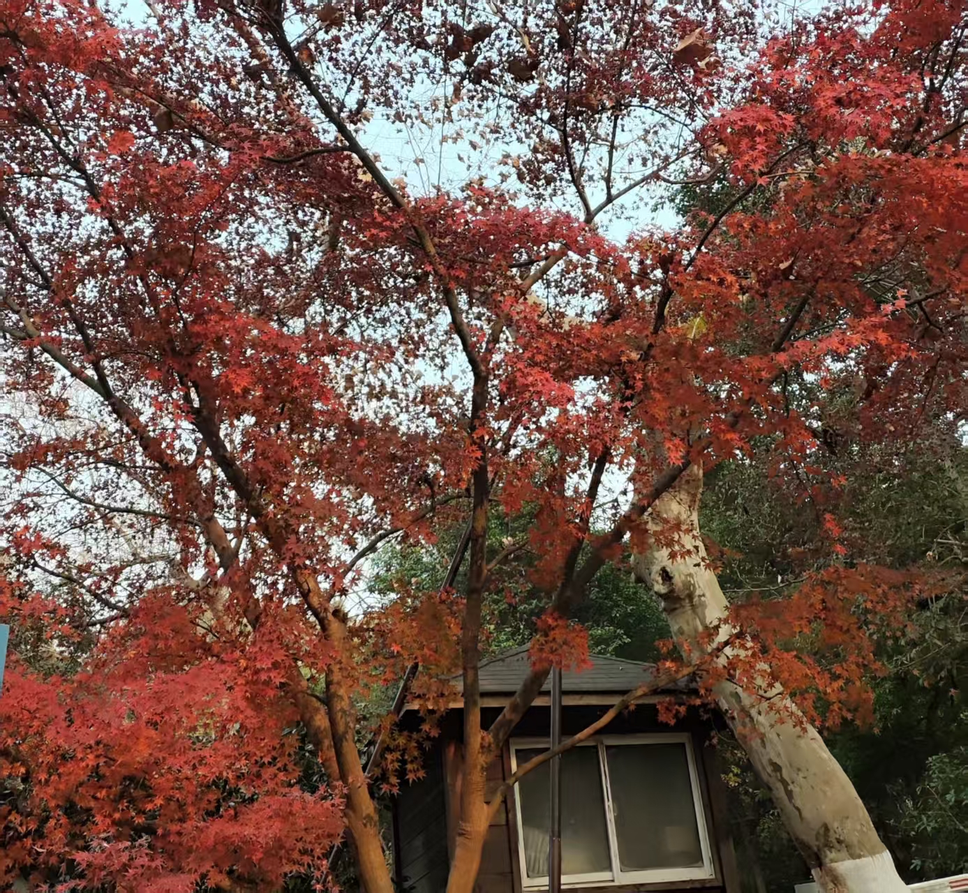 “AI＋制造”典型應(yīng)用場(chǎng)景|元豐新型材料基于人工智能驅(qū)動(dòng)的智能制造型人造板生產(chǎn)火花監(jiān)測(cè)與自適應(yīng)滅火