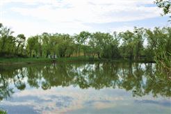 塑料造粒机选型如何避坑？一文讲透“原料-设备”匹配核心方案